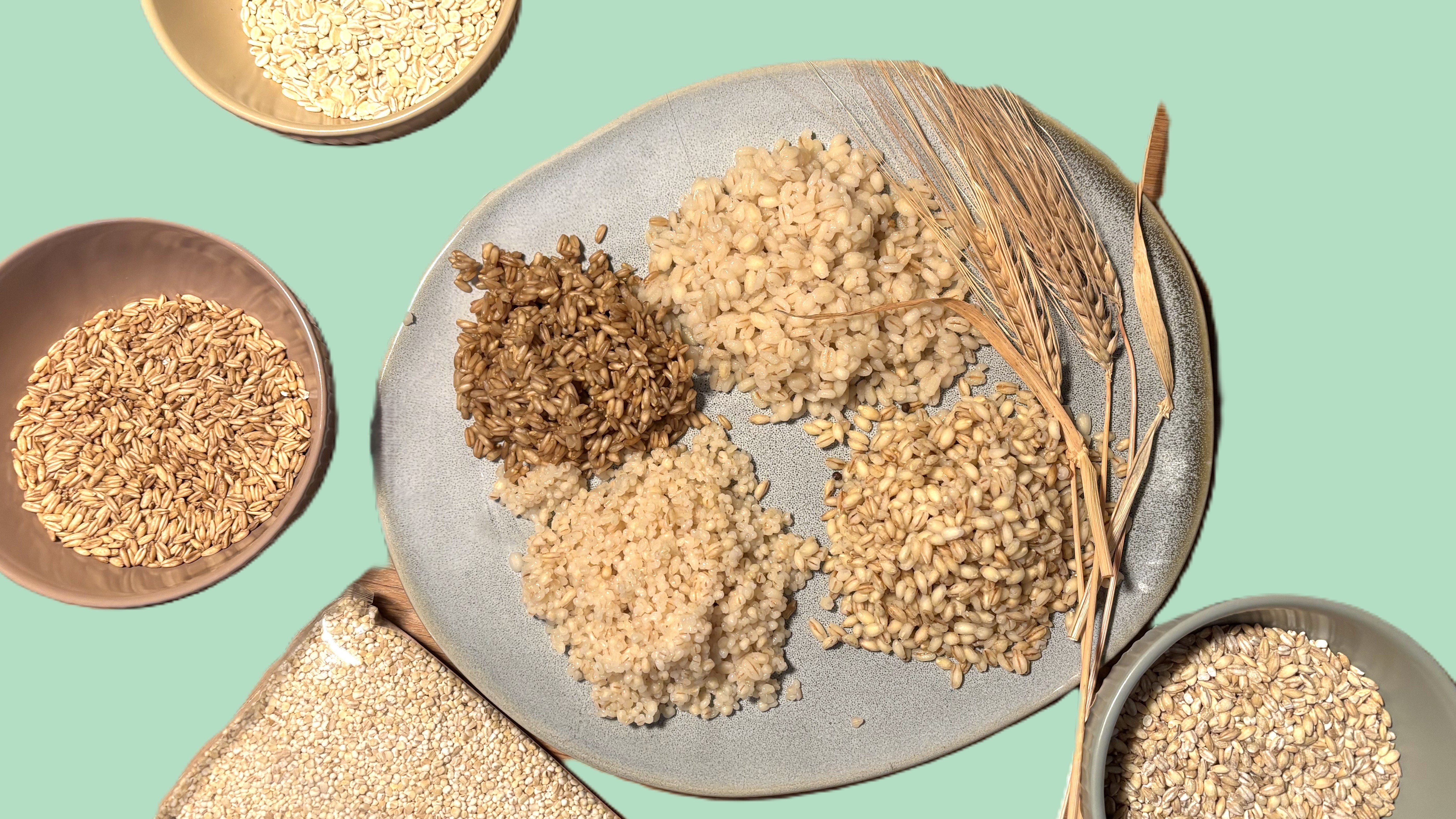 Gerste: Gerstengraupen, Perlgraupen, Rollgerste, Nacktgerste oder Gourmet Gerste? Ein Leitfaden zum Verständnis verschiedener Speisegersten Gerstengraupen, Rollgerste, Nacktgerste und Gerstoni Gerste gekocht auf grauen Teller vor hellgrünem Hintergrund umgeben mit kleinen bunten Schaalen mit den verschiedenen Gerstenprodukten.