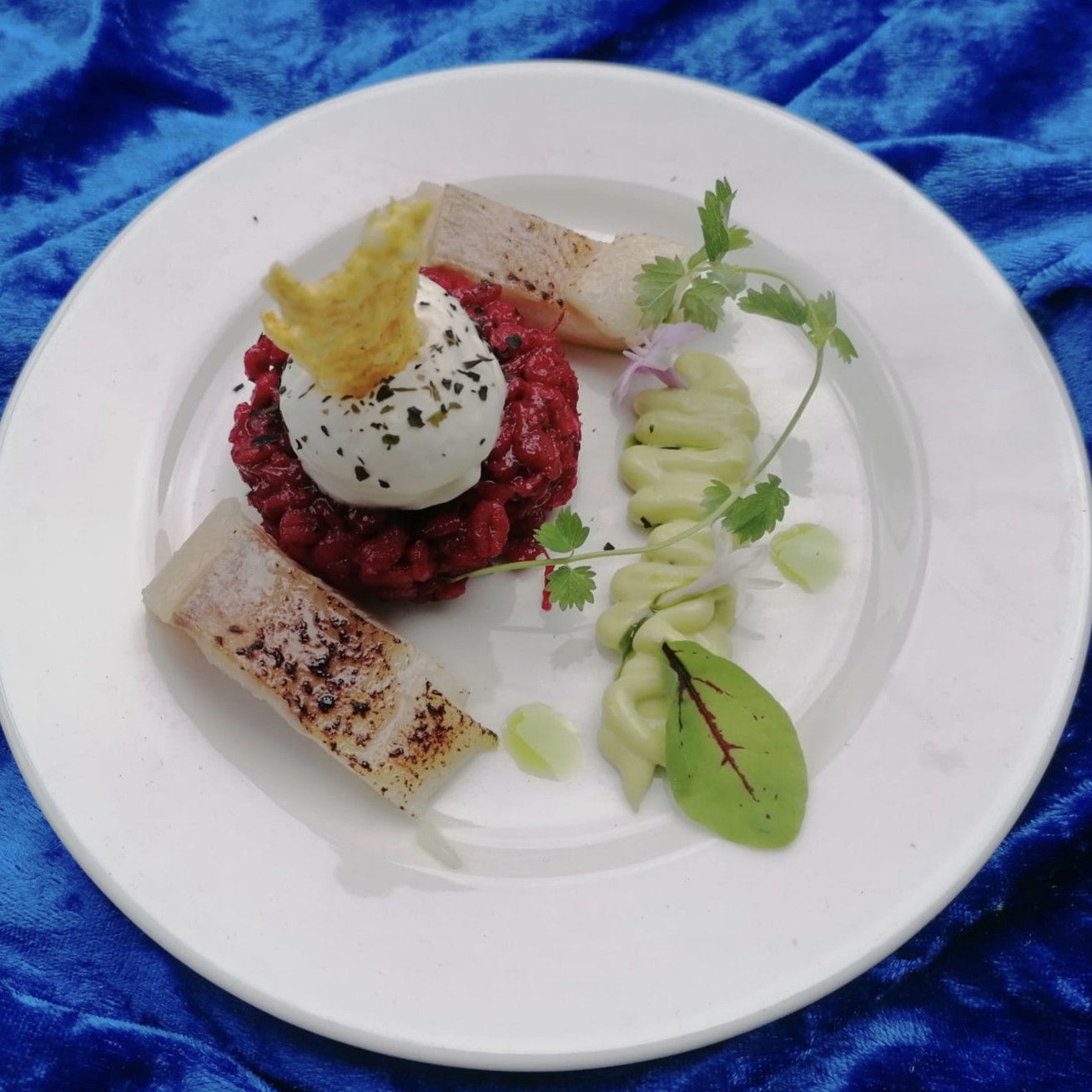 Weißer Teller mit Fisch Filet dazu Gerstoni Rote Bete Risotto mit blauem Hintergrund