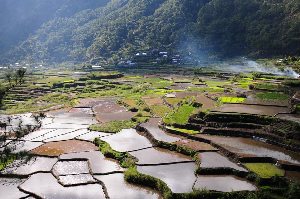 Mit Wasser geflutete Reisterrassen in einem Tal